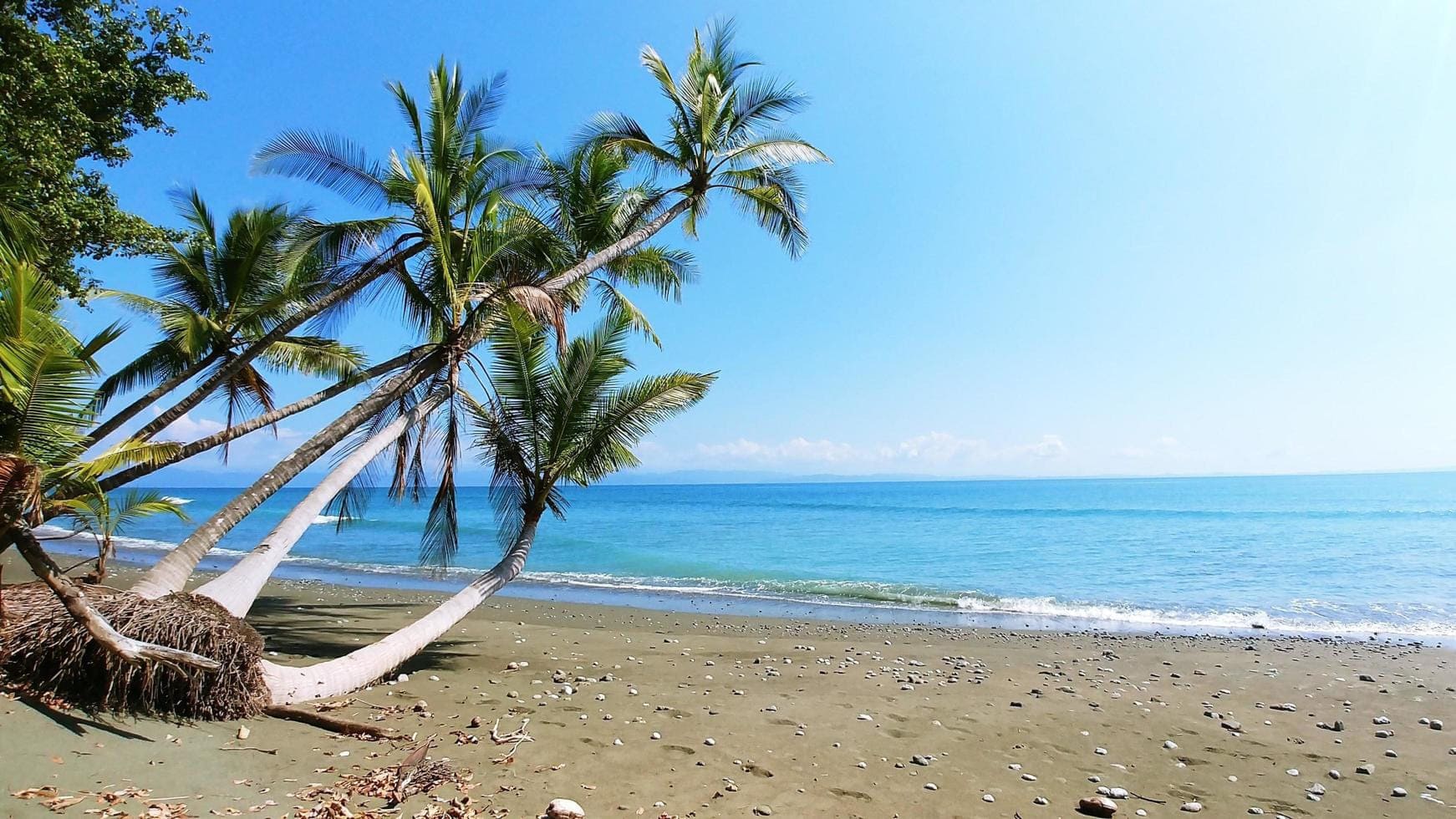 Costa Rica Cruise Rotaları cruise rotası manzarası